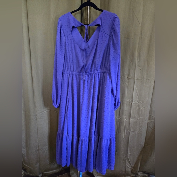 Torrid Womens Tea Length Clip Dot Open Back A-Line Dress [worn once] - Picture 2 of 3